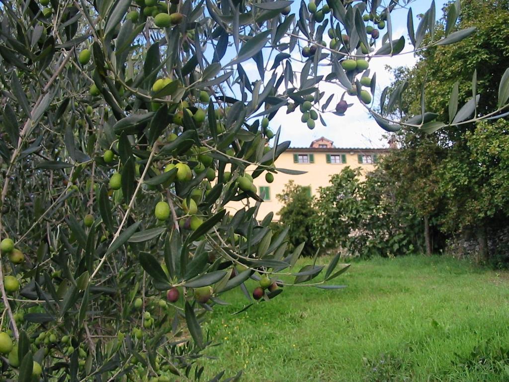 סנספולקרו Hotel Relais Palazzo Di Luglio מראה חיצוני תמונה